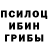 Галлюциногенные грибы Psilocybine cubensis Gustavo Zeni