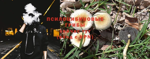 синтетический гашиш Богородск